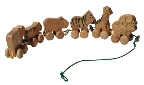 Nature Wonder Play Set